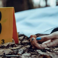 Crime Scene Cleaning 2